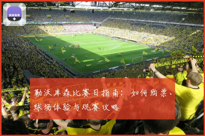 勒沃库森比赛日指南:如何购票、球场体验与观赛攻略