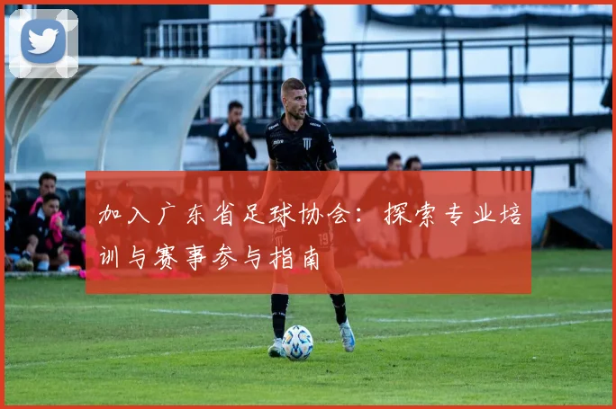 加入广东省足球协会:探索专业培训与赛事参与指南