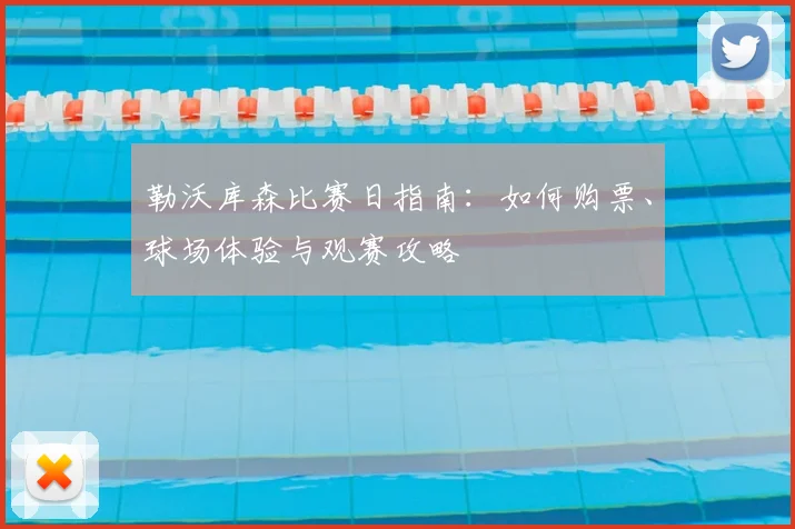 勒沃库森比赛日指南:如何购票、球场体验与观赛攻略