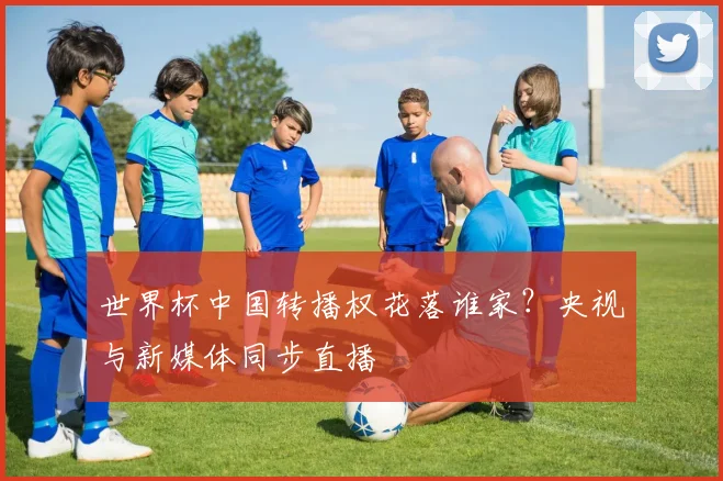 世界杯中国转播权花落谁家?央视与新媒体同步直播